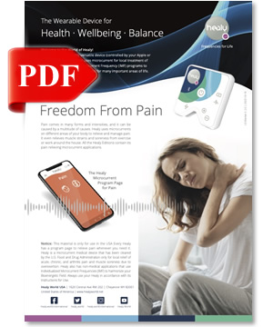 FL5_Healy-Flyer.jpg
